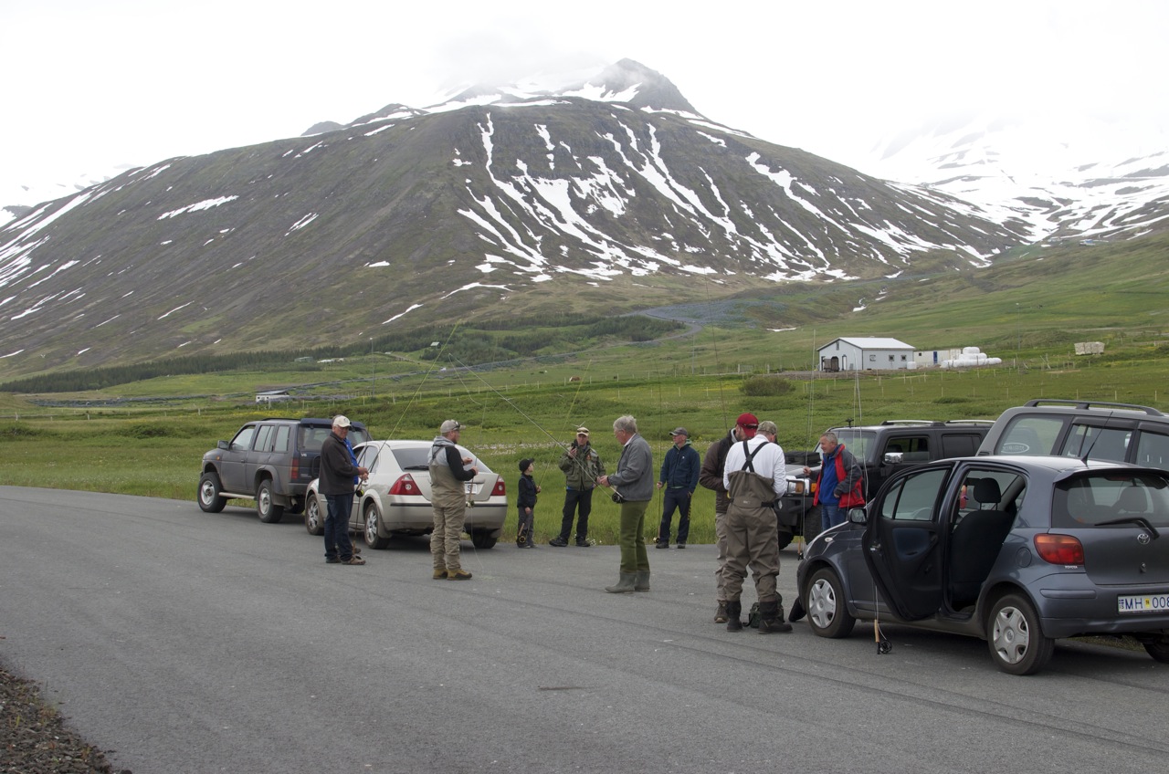 stangveið sr