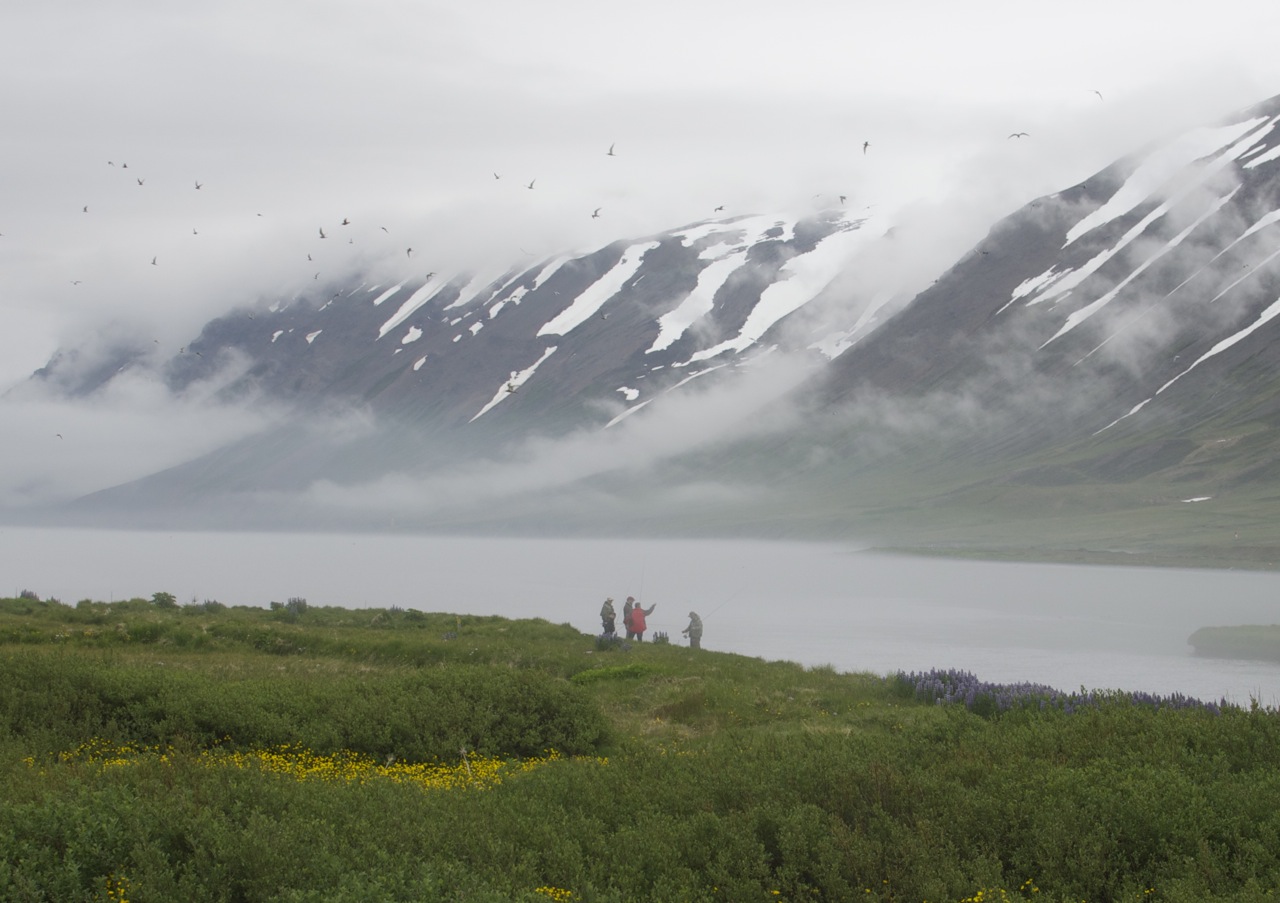 stangveið sr